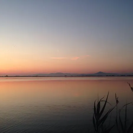 Suisse
